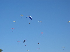 Nuée de parapentes 05